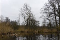 Warnow-paddeln-02.2020-17