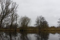 Warnow-paddeln-02.2020-19