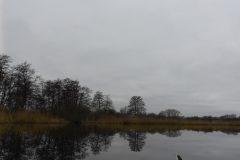Warnow-paddeln-02.2020-21