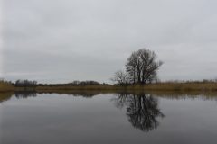 Warnow-paddeln-02.2020-22