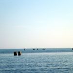 Wnmde-Graal-Müritz-Neuhaus-021