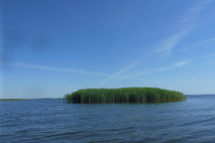 P1010425