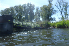 P1010439