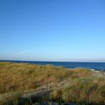 Wustrow-Ahrenshoop-Weststrand-Strandung-001