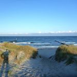Wustrow-Ahrenshoop-Weststrand-Strandung-002