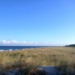 Wustrow-Ahrenshoop-Weststrand-Strandung-003