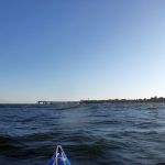 Wustrow-Ahrenshoop-Weststrand-Strandung-010