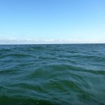 Wustrow-Ahrenshoop-Weststrand-Strandung-014