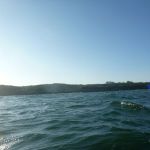 Wustrow-Ahrenshoop-Weststrand-Strandung-015