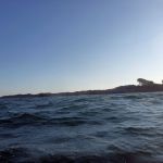 Wustrow-Ahrenshoop-Weststrand-Strandung-016