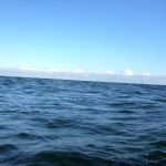 Wustrow-Ahrenshoop-Weststrand-Strandung-019