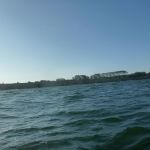 Wustrow-Ahrenshoop-Weststrand-Strandung-020