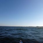 Wustrow-Ahrenshoop-Weststrand-Strandung-032