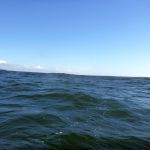 Wustrow-Ahrenshoop-Weststrand-Strandung-034