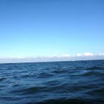 Wustrow-Ahrenshoop-Weststrand-Strandung-035