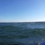 Wustrow-Ahrenshoop-Weststrand-Strandung-039