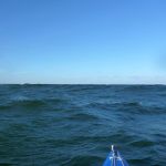 Wustrow-Ahrenshoop-Weststrand-Strandung-040