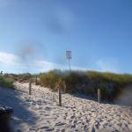 Wustrow-Ahrenshoop-Weststrand-Strandung-048