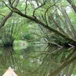 Von Sternberg nach Rostock