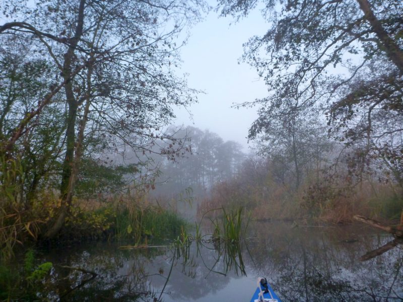 November-auf-der-Warnow-A2