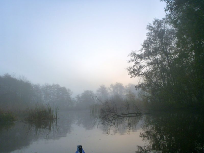 November-auf-der-Warnow-A3