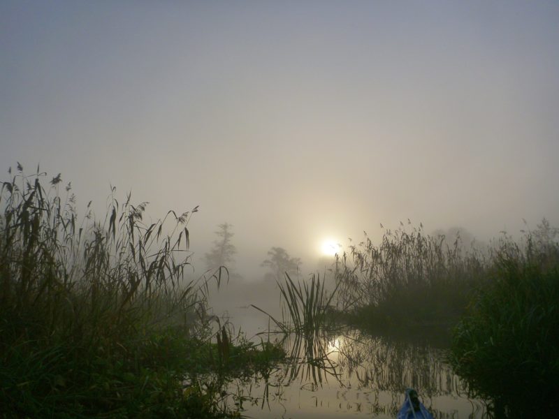 November-auf-der-Warnow-A5