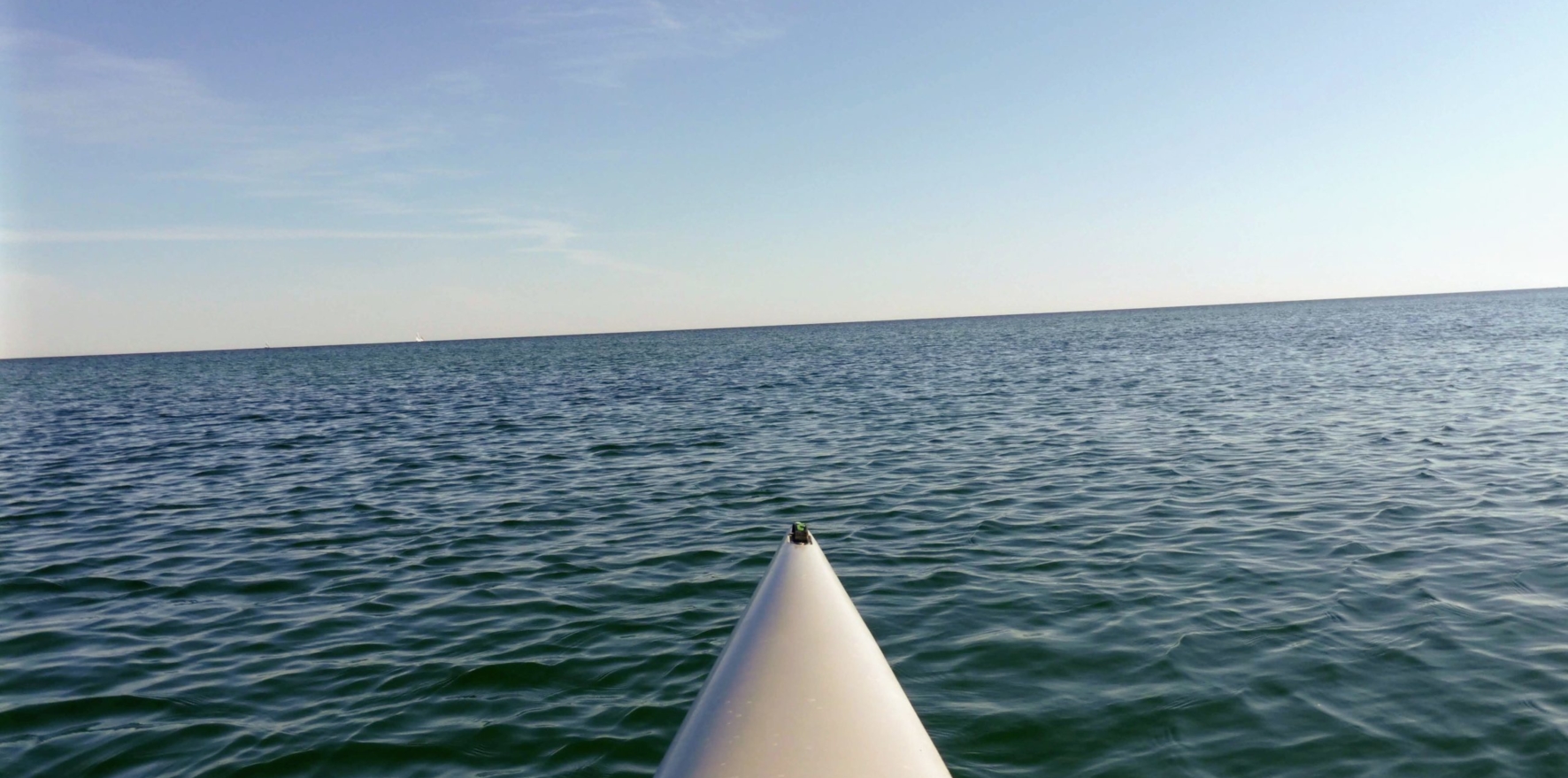 Baltic-Seal-Rosenort-001