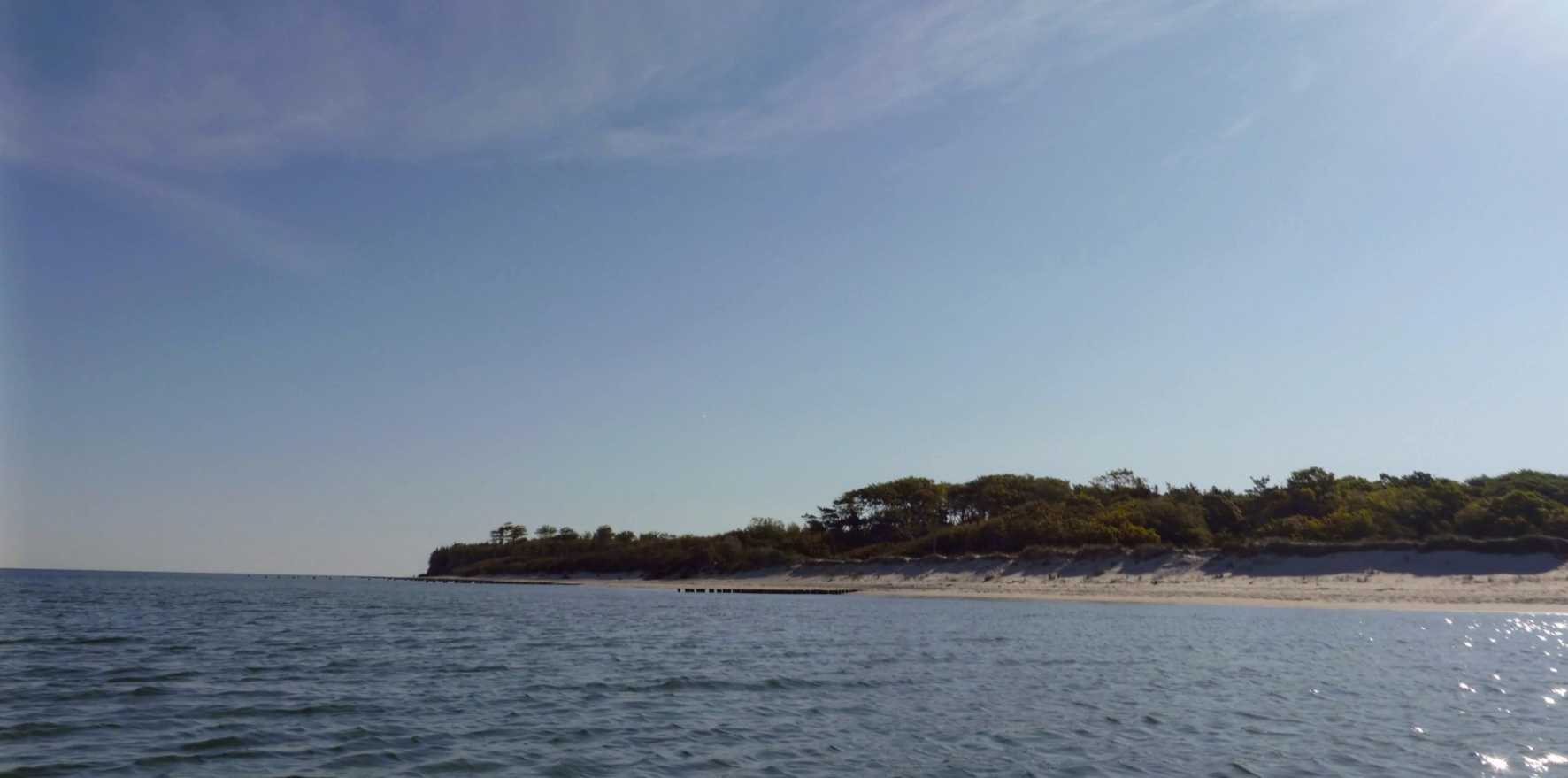 Baltic-Seal-Rosenort-002