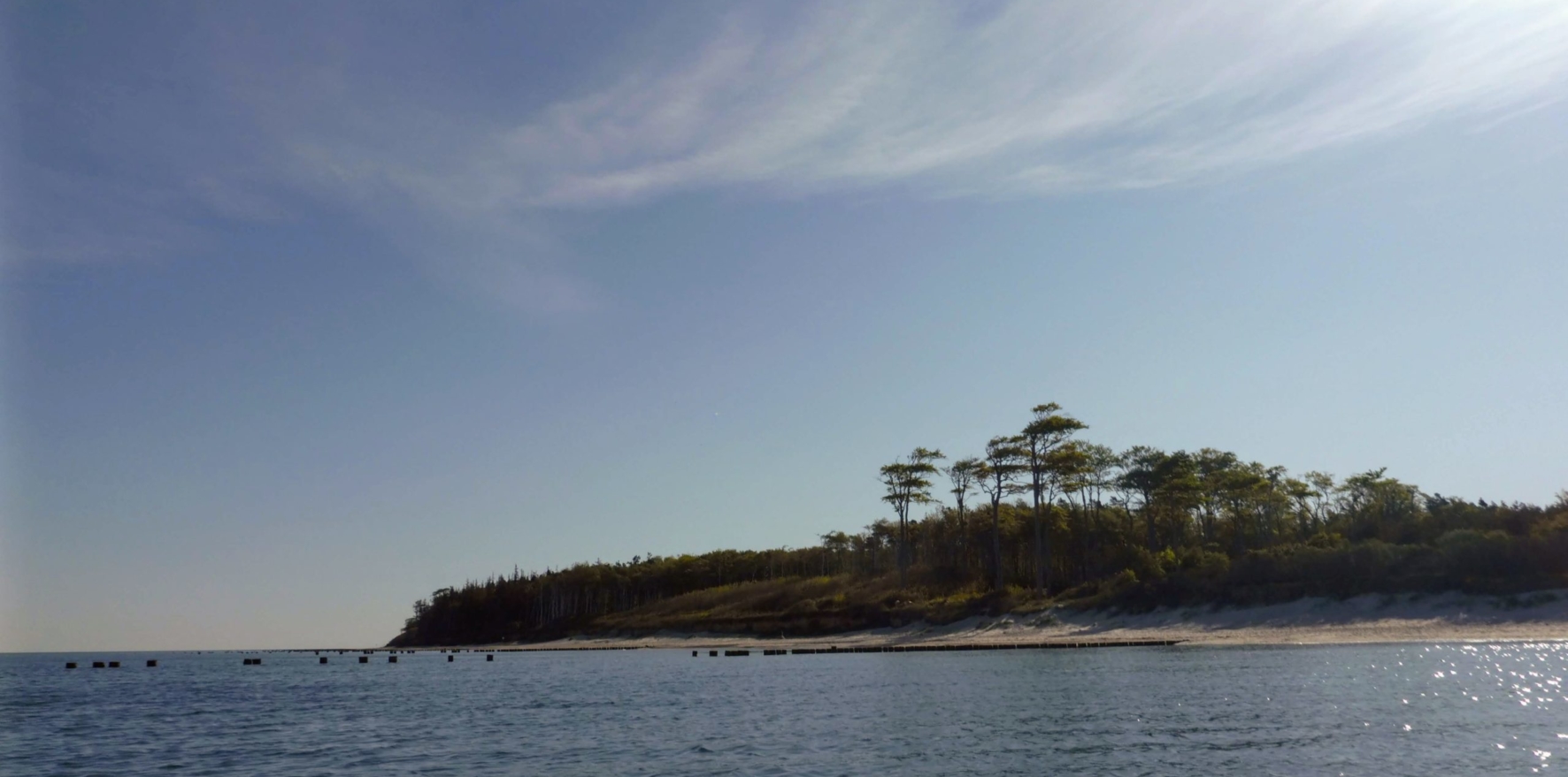 Baltic-Seal-Rosenort-003