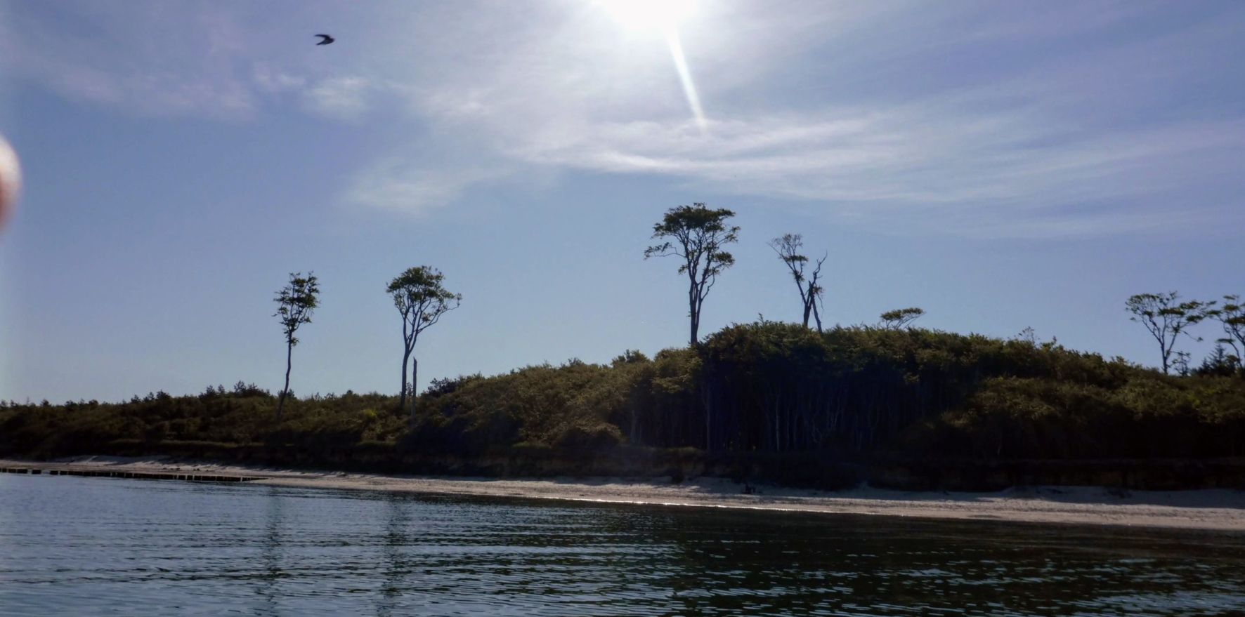 Baltic-Seal-Rosenort-005