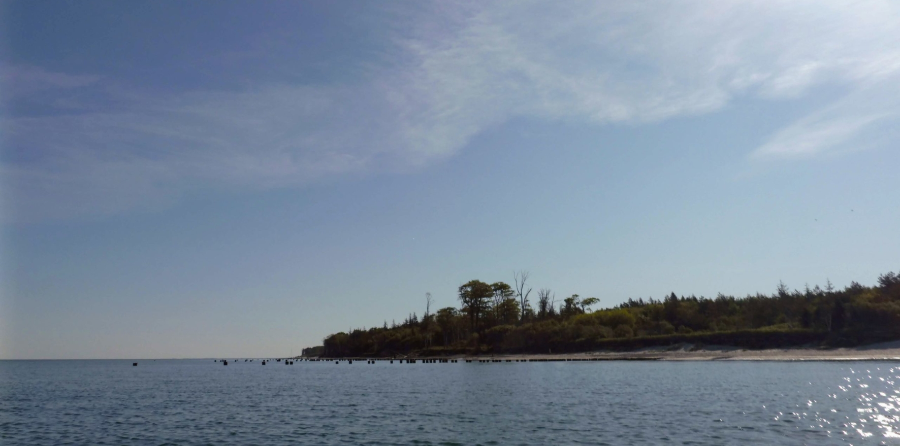 Baltic-Seal-Rosenort-006