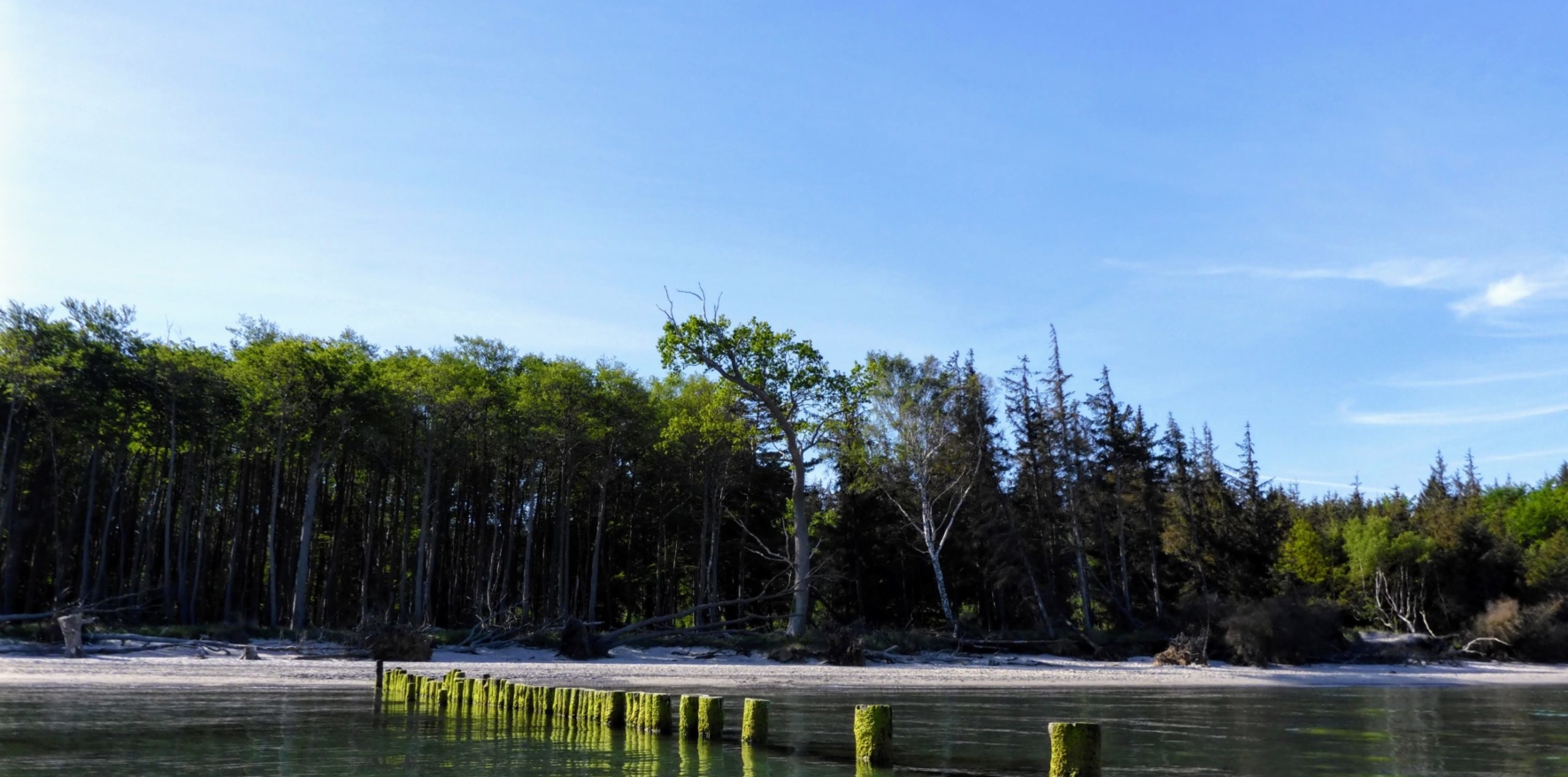 Baltic-Seal-Rosenort-007