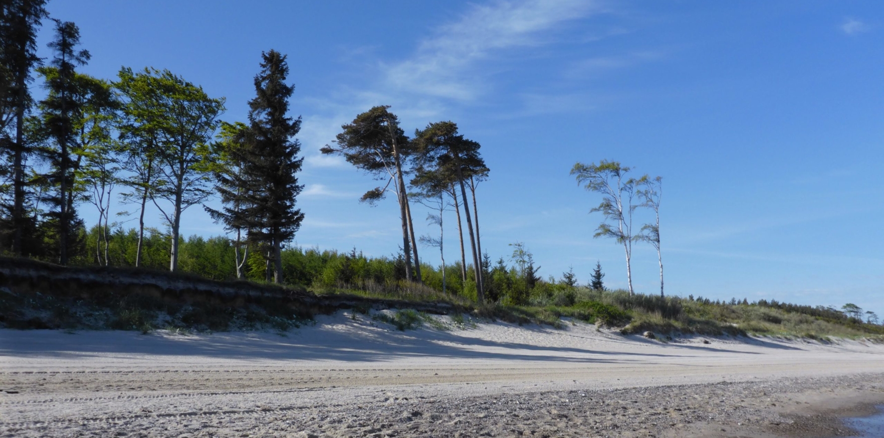 Baltic-Seal-Rosenort-011