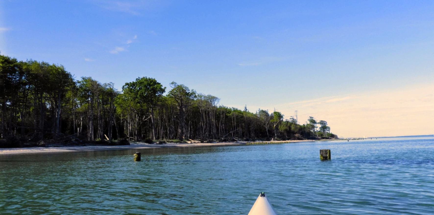 Baltic-Seal-Rosenort-013