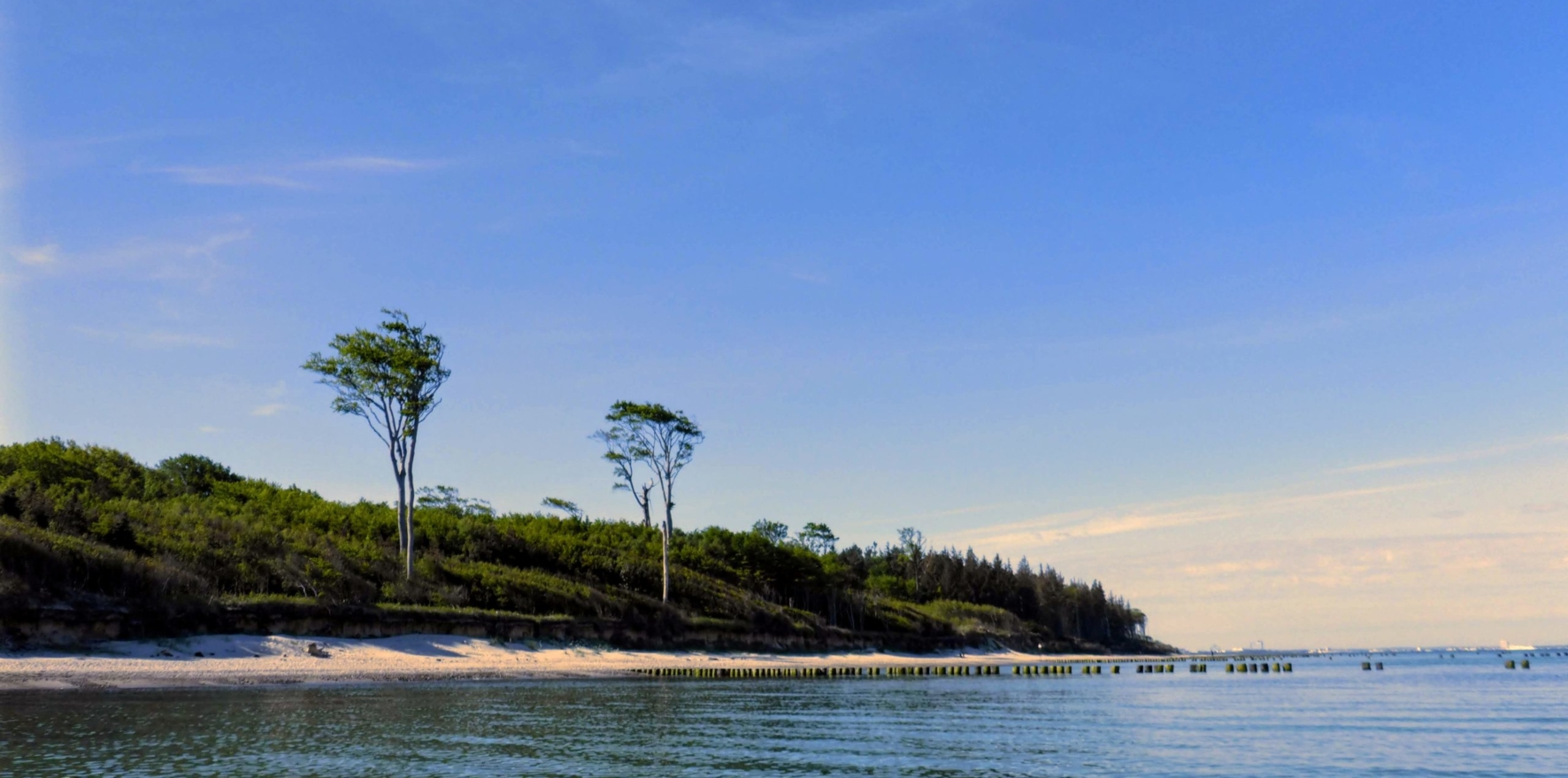 Baltic-Seal-Rosenort-014