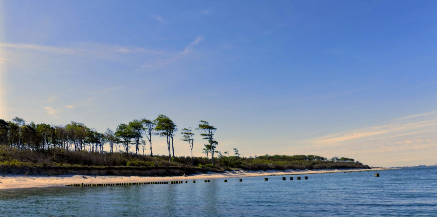 Baltic-Seal-Rosenort-015