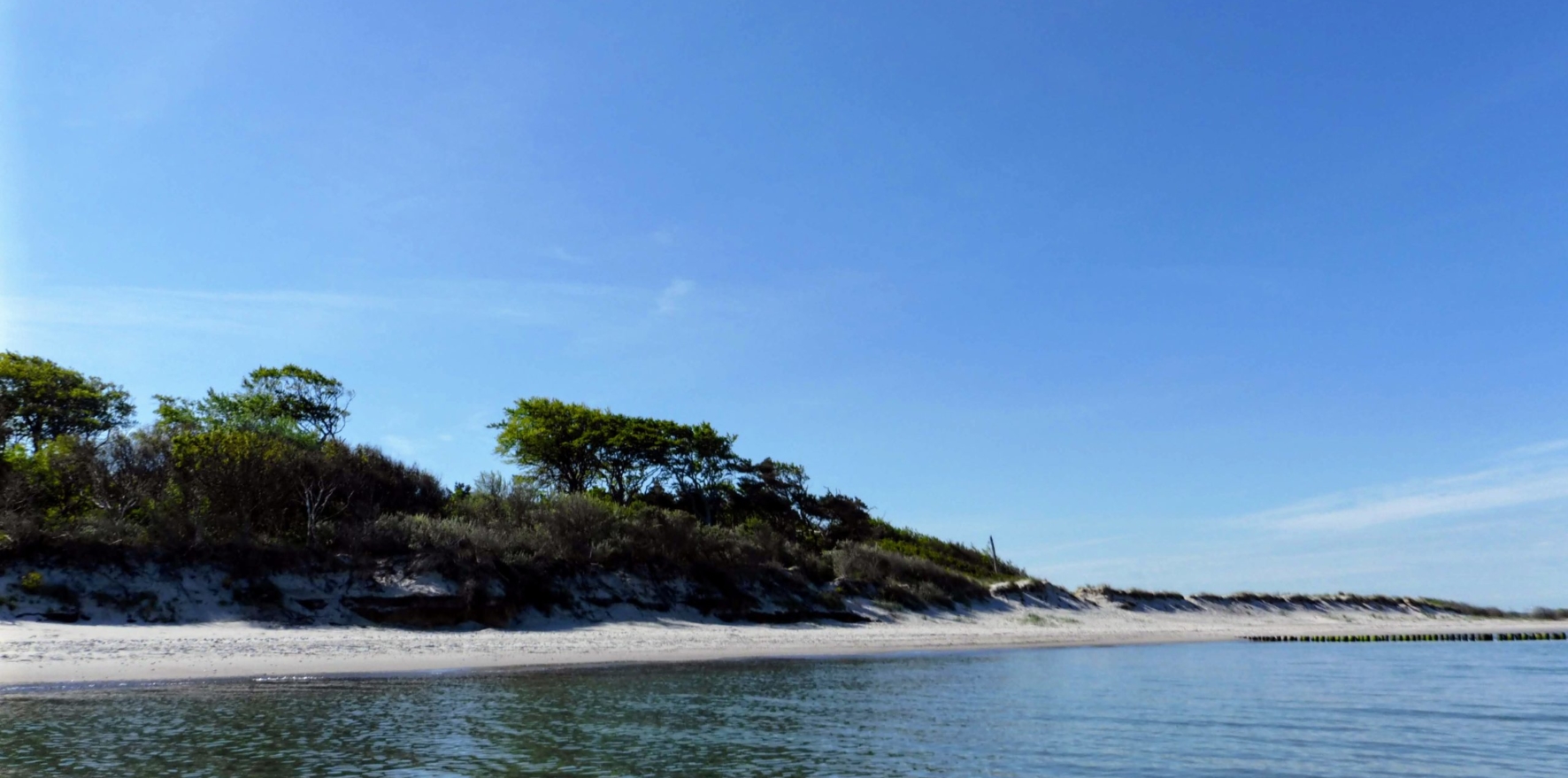 Baltic-Seal-Rosenort-016