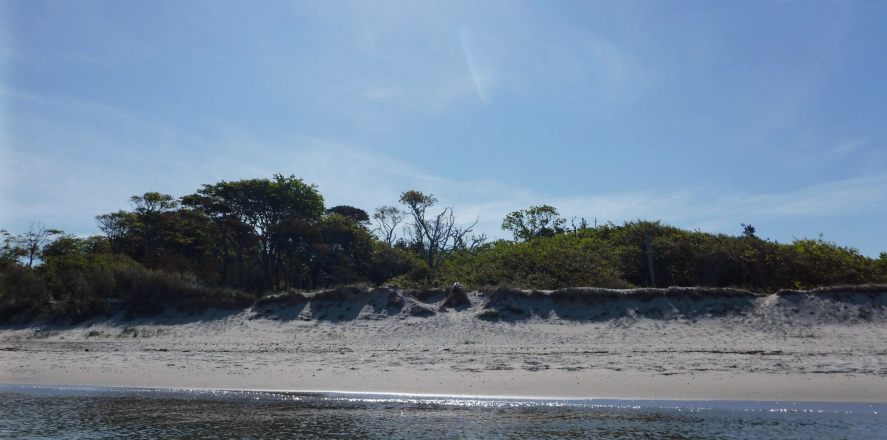 Baltic-Seal-Rosenort-017