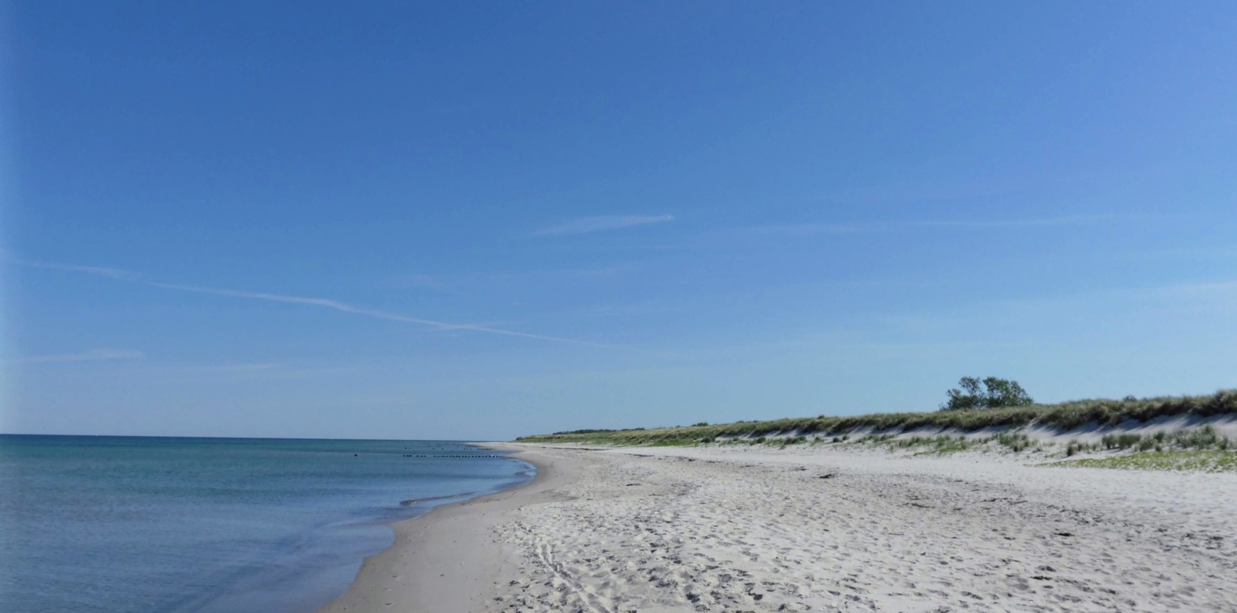 Baltic-Seal-Rosenort-019