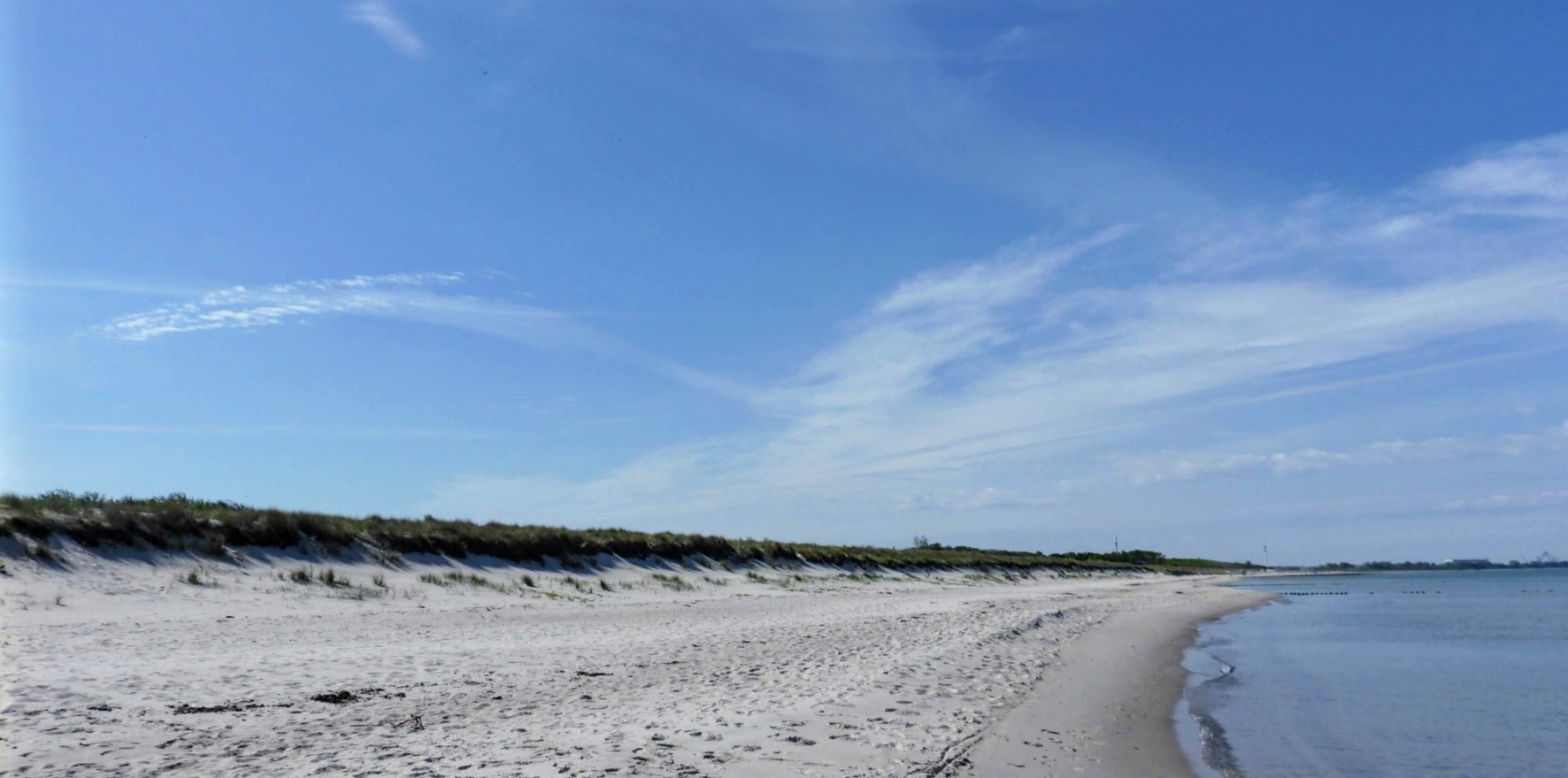 Baltic-Seal-Rosenort-020