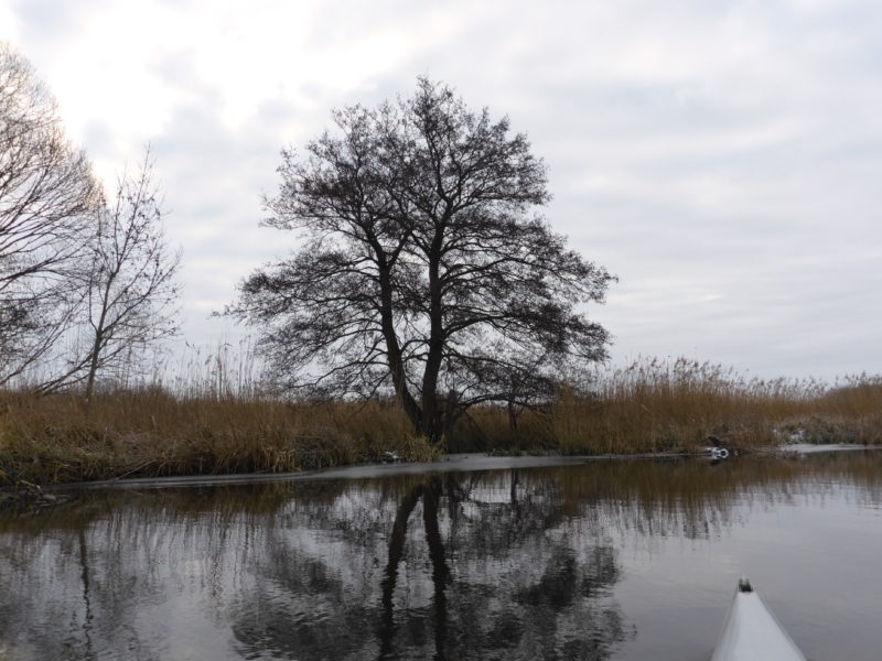 anpaddel-warnow-rostock-001