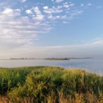 Von der Insel Riems zur Halbinsel Zudar auf Rügen, weiter nach Wreechen und Neukamp und über den Bodden zurück