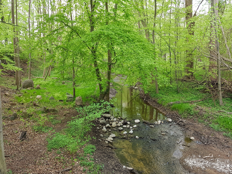 Waldbaden