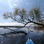 Umrundung des Tollensesee Neubrandenburg