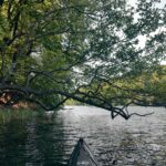 Paddeltour auf den Feldberger Seen,vom Breiten Luzin durch den Schmalen Luzin, bis nach Carwitz und zurück