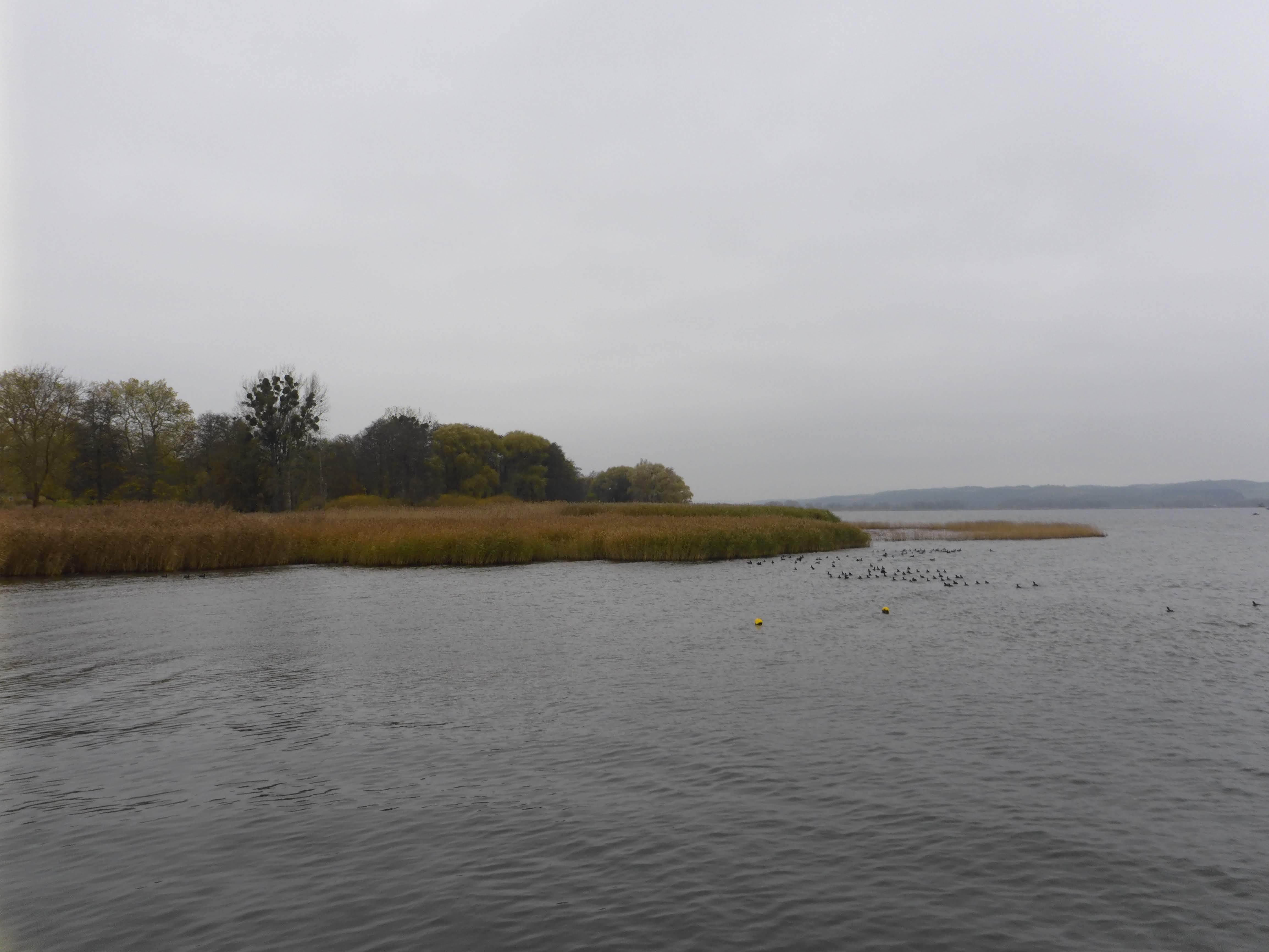 Round-Kummerower-See-012